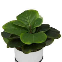 Gourd Plant In Hairpin Leg Planter-Kirkland's Home Shop