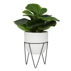 Gourd Plant In Hairpin Leg Planter-Kirkland's Home Shop