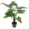 Grand Philodendron Bush-Kirkland's Home Shop