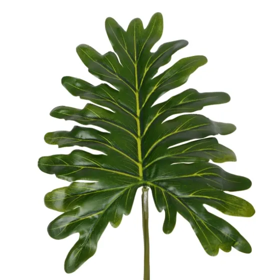 Grand Philodendron Bush-Kirkland's Home Shop