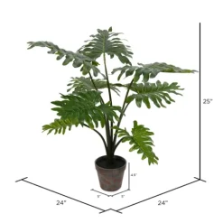 Grand Philodendron Bush-Kirkland's Home Shop