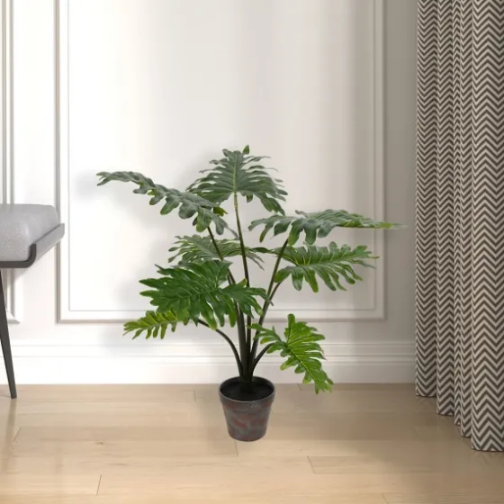 Grand Philodendron Bush-Kirkland's Home Shop