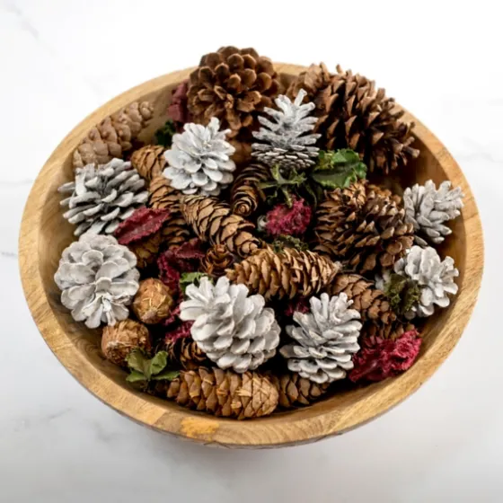 Grand Pine Cone Potpourri-Kirkland's Home Cheap