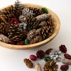 Grand Pine Cone Potpourri-Kirkland's Home Cheap
