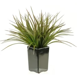 Grass Arrangement In Black Ceramic Planter-Kirkland's Home Clearance