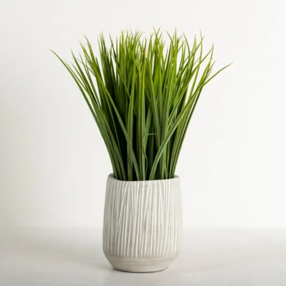Grass Arrangement In Cement Pot-Kirkland's Home Shop