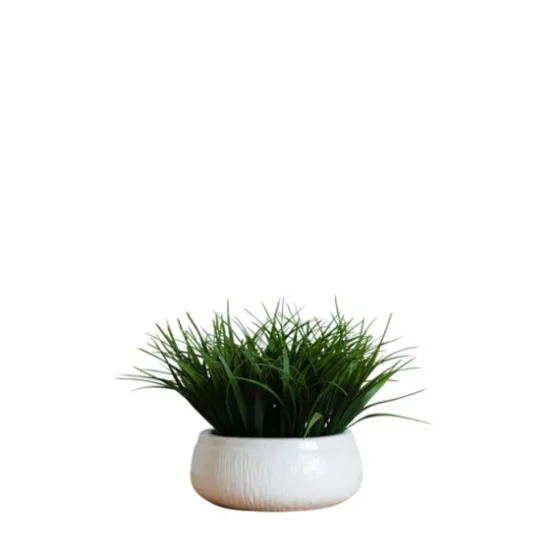 Grass Arrangement In White Ceramic Bowl-Kirkland's Home Hot
