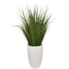Grass Arrangement In White Cement Pot-Kirkland's Home Best