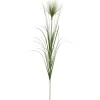 Grass Spray Stems, Set Of 6-Kirkland's Home Store