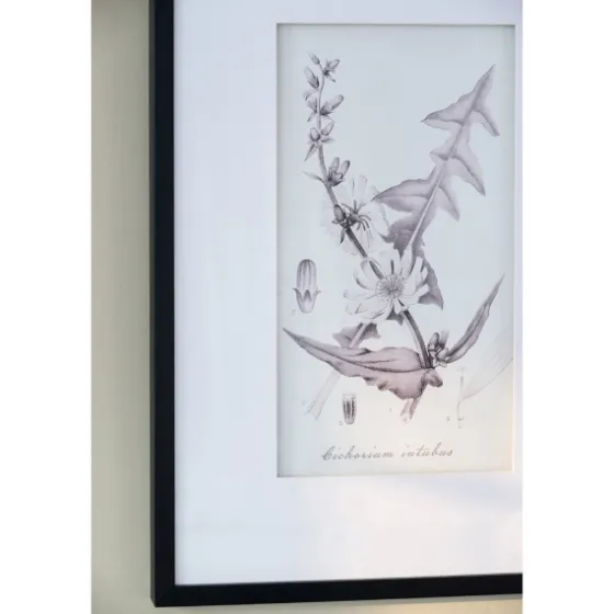 Gray And Cream Foliage 4-Pc. Framed Wall Art Set-Kirkland's Home Best
