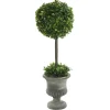 Gray Boxwood Pedestal Urn Topiary, 2 Ft.-Kirkland's Home Hot