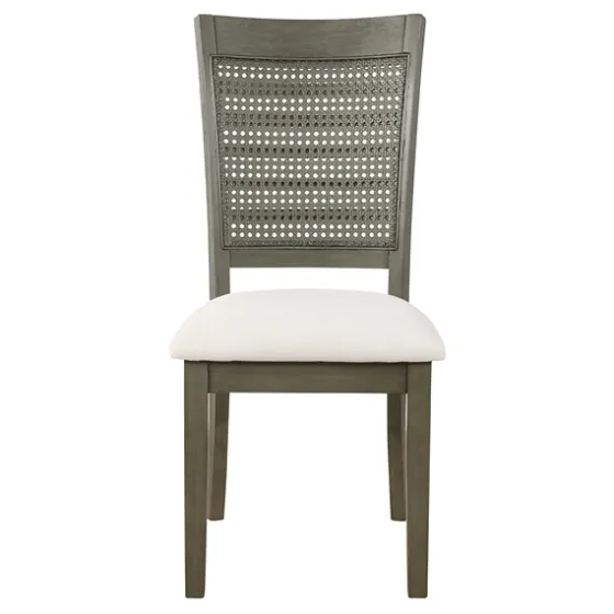 Gray Wilbur Cane Back Dining Chairs, Set Of 2-Kirkland's Home Online