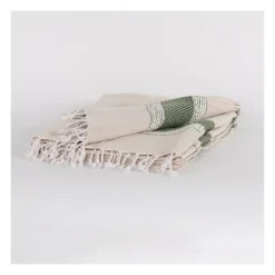 Green And Natural Colorblock Chevron Throw-Kirkland's Home Hot
