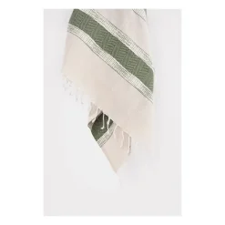 Green And Natural Colorblock Chevron Throw-Kirkland's Home Hot