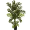 Green Areca Palm Tree In Black Planter, 66 In.-Kirkland's Home Best
