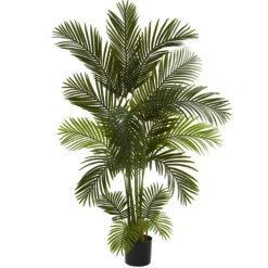 Green Areca Palm Tree In Black Planter, 66 In.-Kirkland's Home Best