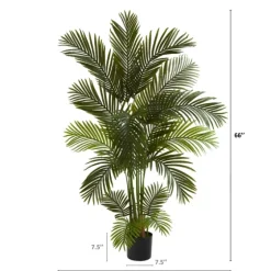 Green Areca Palm Tree In Black Planter, 66 In.-Kirkland's Home Best