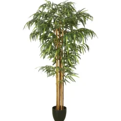 Green Bamboo Tree In Black Planter-Kirkland's Home Hot