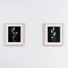 Green Botanicals Framed Art Prints, Set Of 2-Kirkland's Home Cheap