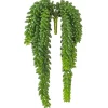 Green Donkey'S Tail Bush-Kirkland's Home Hot