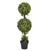 Green Double Ball Boxwood Potted Topiary-Kirkland's Home Discount