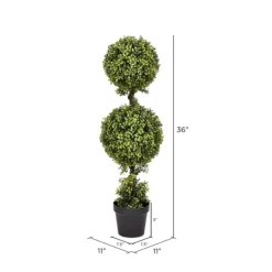 Green Double Ball Boxwood Potted Topiary-Kirkland's Home Discount