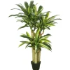 Green Dracaena Tree In Black Planter-Kirkland's Home Cheap