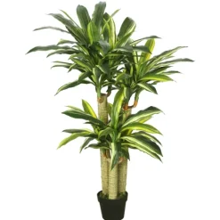 Green Dracaena Tree In Black Planter-Kirkland's Home Cheap