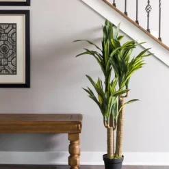 Green Dracaena Tree In Black Planter-Kirkland's Home Cheap