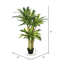 Green Dracaena Tree In Black Planter-Kirkland's Home Cheap