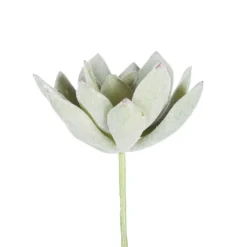 Green Echeveria Stems, Set Of 6-Kirkland's Home Hot