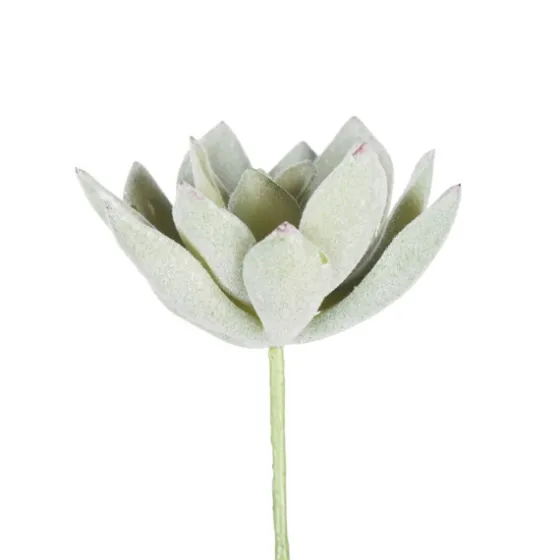 Green Echeveria Stems, Set Of 6-Kirkland's Home Hot