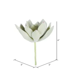 Green Echeveria Stems, Set Of 6-Kirkland's Home Hot