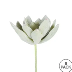 Green Echeveria Stems, Set Of 6-Kirkland's Home Hot