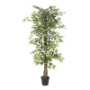 Green Ficus Potted Tree, 73 In.-Kirkland's Home Online