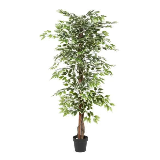 Green Ficus Potted Tree, 73 In.-Kirkland's Home Online