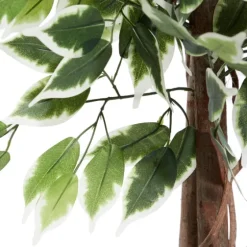 Green Ficus Potted Tree, 73 In.-Kirkland's Home Online
