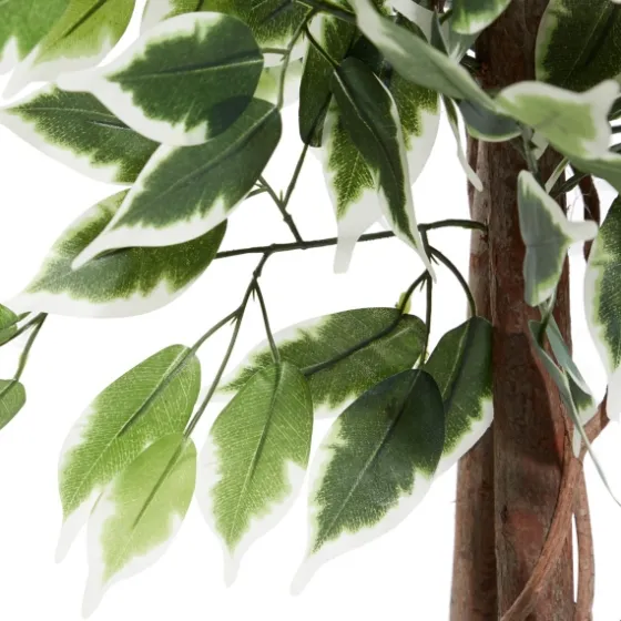 Green Ficus Potted Tree, 73 In.-Kirkland's Home Online