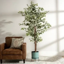 Green Ficus Potted Tree, 73 In.-Kirkland's Home Online