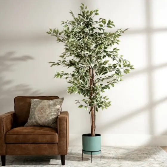 Green Ficus Potted Tree, 73 In.-Kirkland's Home Online
