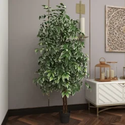 Green Ficus Potted Tree, 73 In.-Kirkland's Home Online