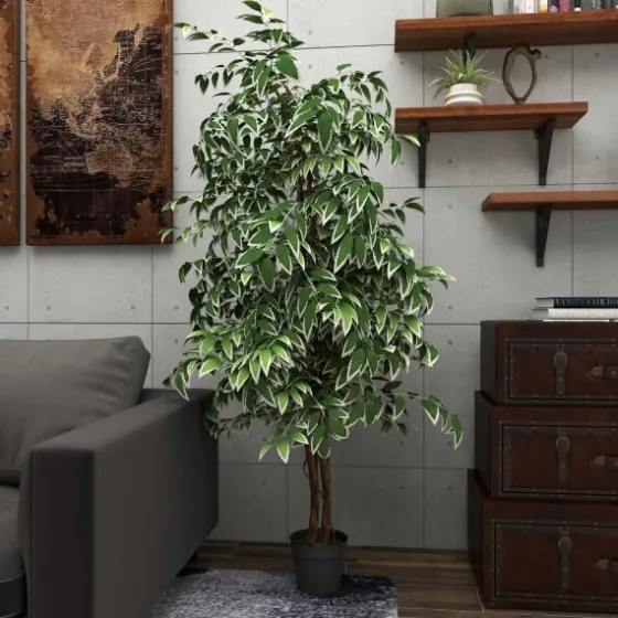 Green Ficus Potted Tree, 73 In.-Kirkland's Home Online