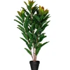 Green Myrtle Tree In Black Planter-Kirkland's Home Flash Sale