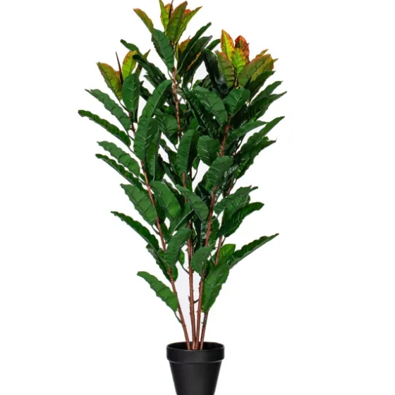 Green Myrtle Tree In Black Planter-Kirkland's Home Flash Sale