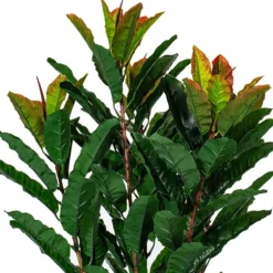 Green Myrtle Tree In Black Planter-Kirkland's Home Flash Sale