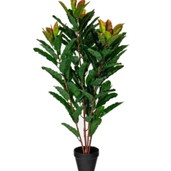 Green Myrtle Tree In Black Planter-Kirkland's Home Flash Sale