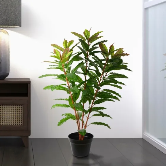 Green Myrtle Tree In Black Planter-Kirkland's Home Flash Sale