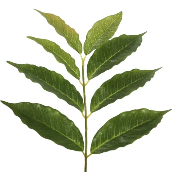 Green Nandina Potted Tree, 4 Ft.-Kirkland's Home Flash Sale