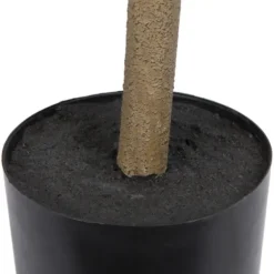 Green Nandina Tree In Black Planter-Kirkland's Home Cheap