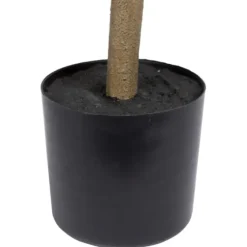 Green Nandina Tree In Black Planter-Kirkland's Home Cheap